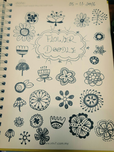 flower doodles 