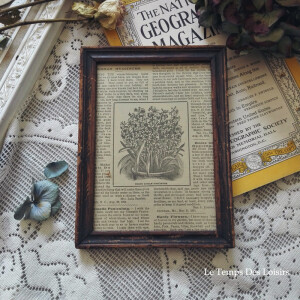 古董*杂货 旧木英文植物装饰画框