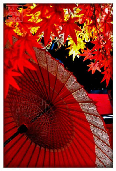 中国风 油纸伞