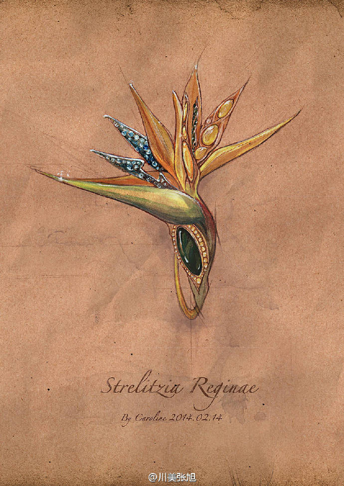 珠宝设计手绘草图 by Caroline