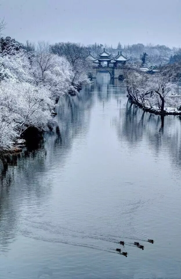 瘦西湖落雪了，推窗远眺，花影飞雪。莲花桥也悄然白了头，只有那几只略感寒意的鸭，还执意划破这一面柔水的镜子，独赏寒江雪。