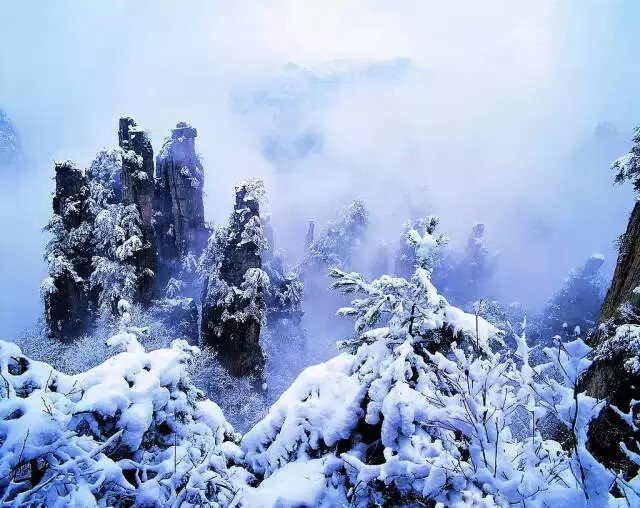 张家界属于典型的喀斯特地貌，冬季的雾雪天气给千姿百态的石峰林和拔地而起的石柱节理平添了几分神秘，也更凸显出它那独有的无穷魅力。