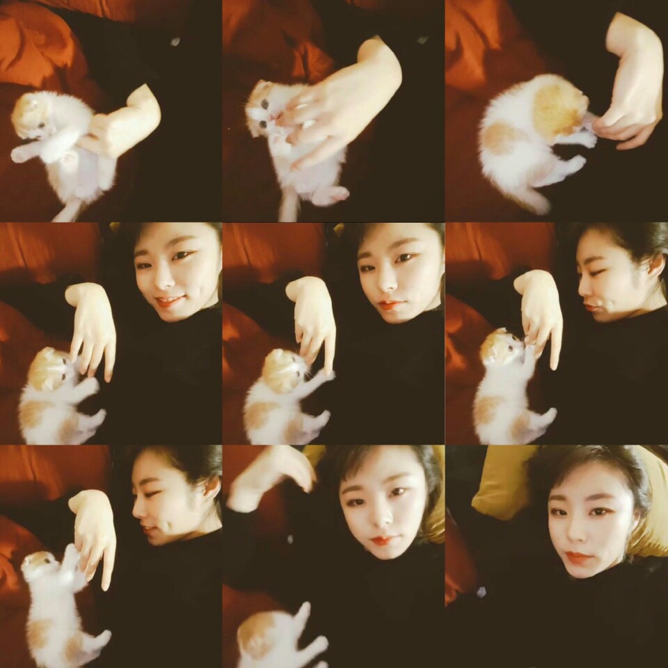 mamamoo 辉人 wheein