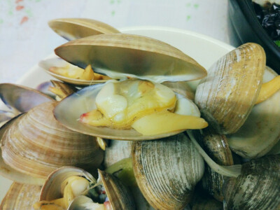 水煮蚬子