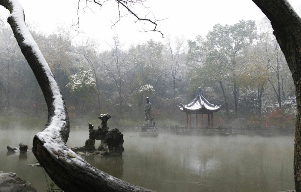 染雪泛雨