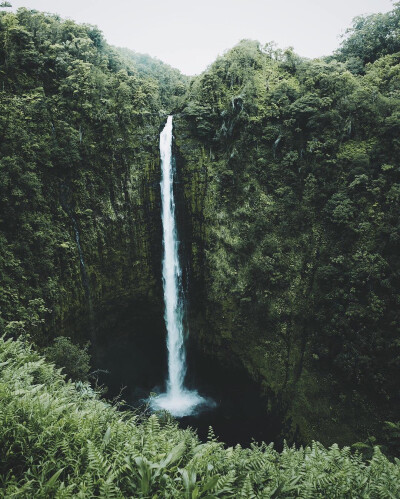  我想去看你看过的风景 瀑布 树木 沉西瓜 啦啦啦~