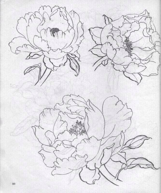 画素材 牡丹 白描 线稿 黑白 植物 花卉 参考 