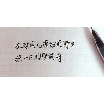 手写 文字 情话