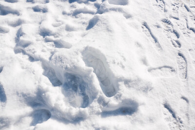 长白山的雪