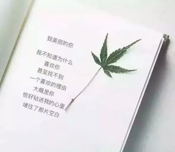 文艺范背景图