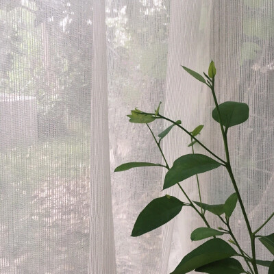 
你不用像每个人打听我
因为我对每个人的态度都不一样
【愿情话有主 你我不孤独】by木槿