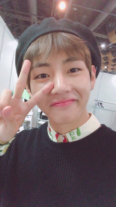 Bangtan Boys 방탄소년단 防弹少年团 BTS V 뷔 김태형 金泰亨 Kim Tae Hyung