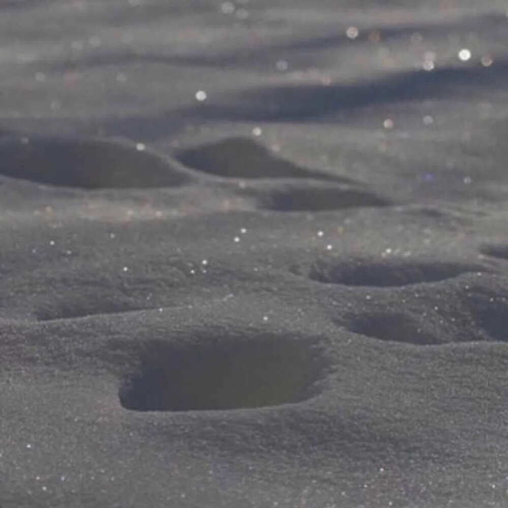 
像一只野猫 没有归宿天都黑了还在赶路
【愿情话有主 你我不孤独】by木槿