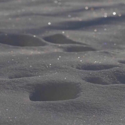 
像一只野猫 没有归宿天都黑了还在赶路
【愿情话有主 你我不孤独】by木槿