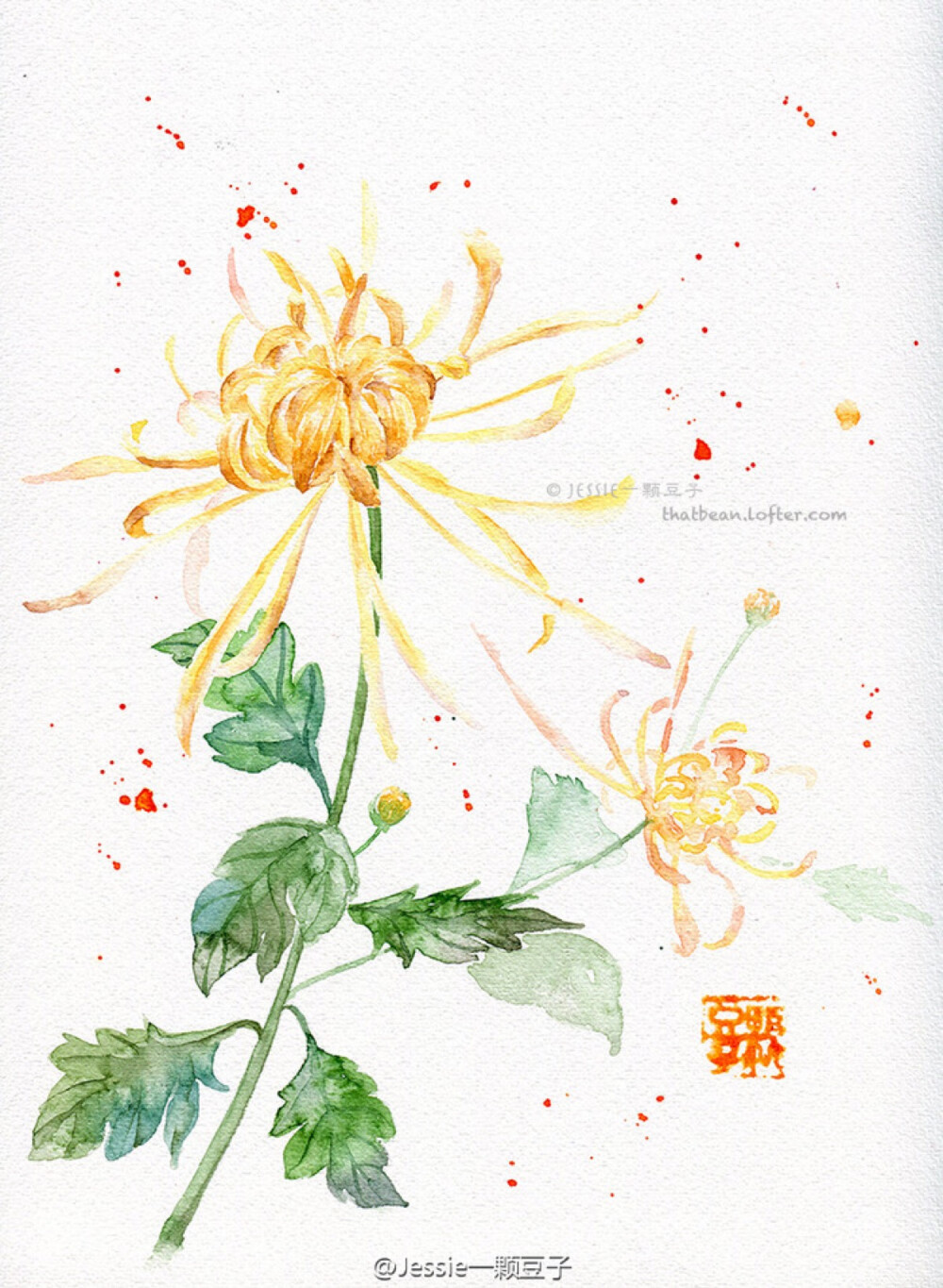 一颗豆子插画