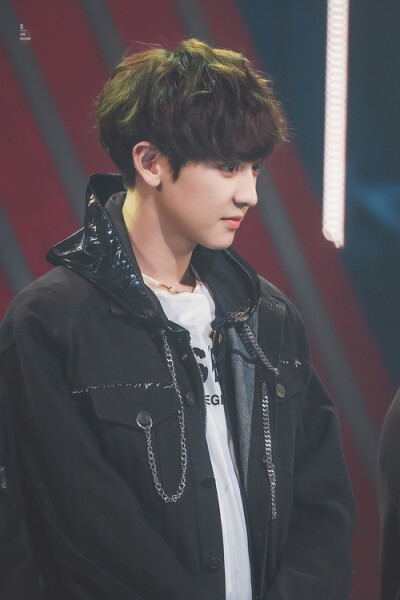 朴灿烈.ChanYeal.EXO