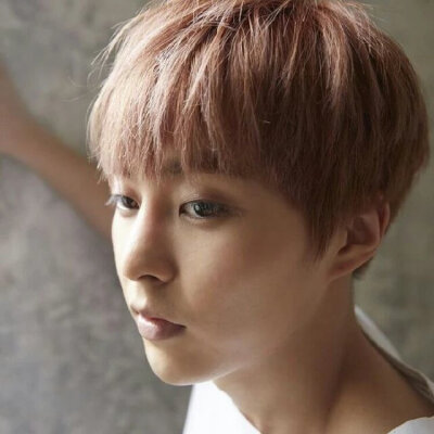 EXO Xiumin 金珉锡