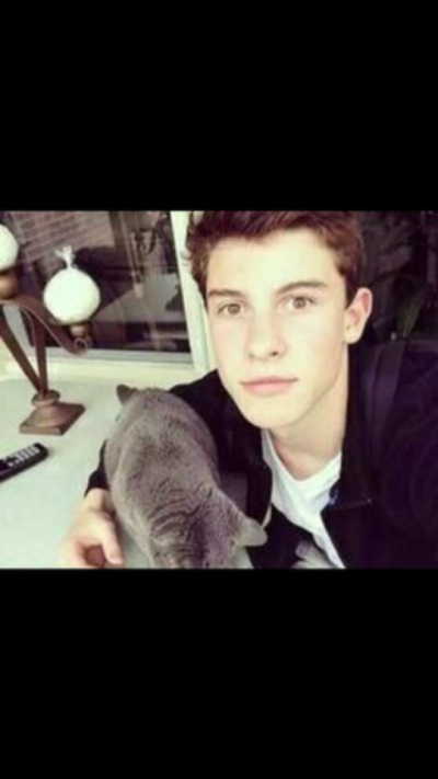 shawn mendes