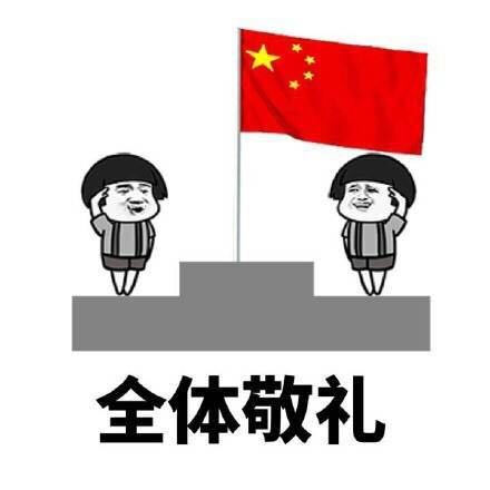 respect敬礼表情包图片