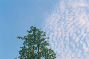 天空