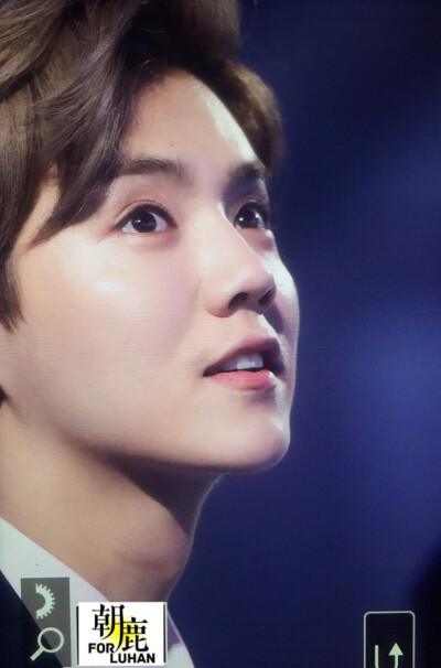 20161203爱奇艺尖叫之夜