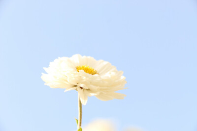 感觉拍出了自带滤镜的效果