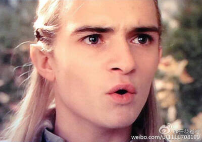 Cute scene in the lord of the rings (legolas)