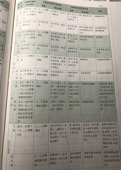 内脏器官和神经