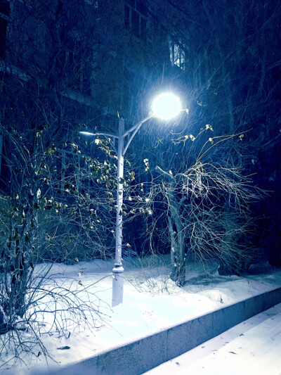 雪夜