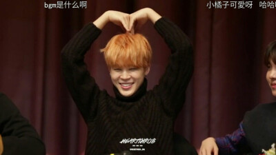 呆毛鸡 朴智旻 jimin