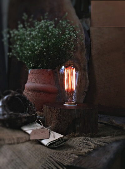 用百年老木点一盏灯，物尽其用，自然之美。