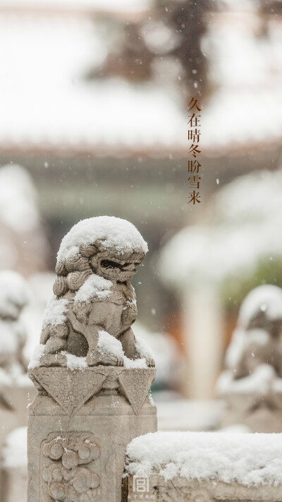 紫禁城【丙申•大雪】“久在晴冬盼雪来” 照片文字取自@故宫博物院