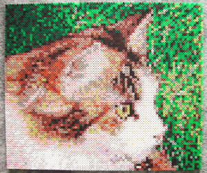 拼拼豆豆 动物作品  
猫猫 小猫 猫咪 喵喵 喵星人 铲屎官最爱系列 
拼豆小站 专注分享 - 拼豆图纸 拼豆材料包 拼豆成品