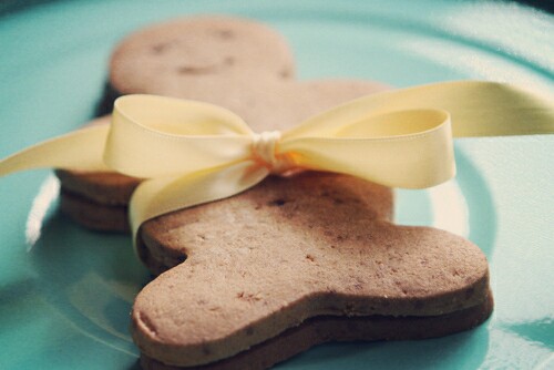 ♡【巧克力小饼干】♡