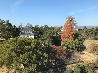 广岛县福山市天守阁，比想象中大很多，都说是很小的天守阁，感觉还可以啊，比高松、松江肯定差很多，胜在精致！