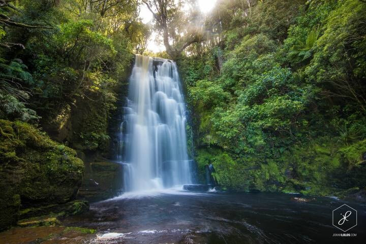 NZ