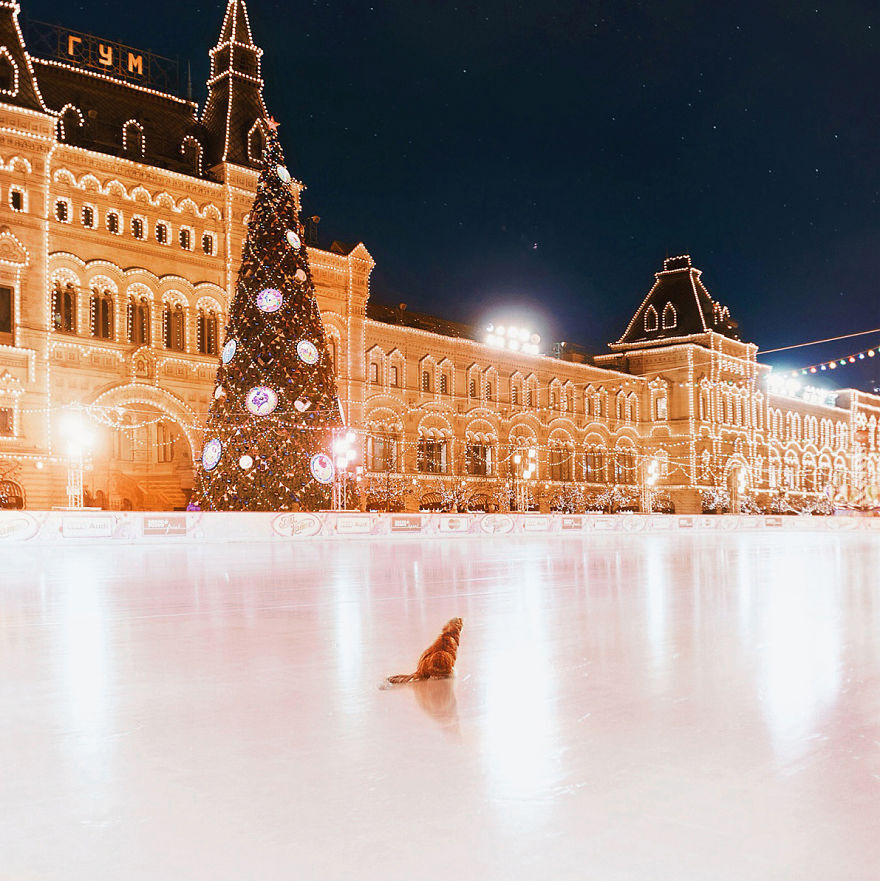 莫斯科圣诞夜 雪景 梦幻般的画面 圣诞快乐 Merry Christmas