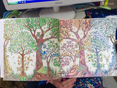 魔法森林 春夏秋冬