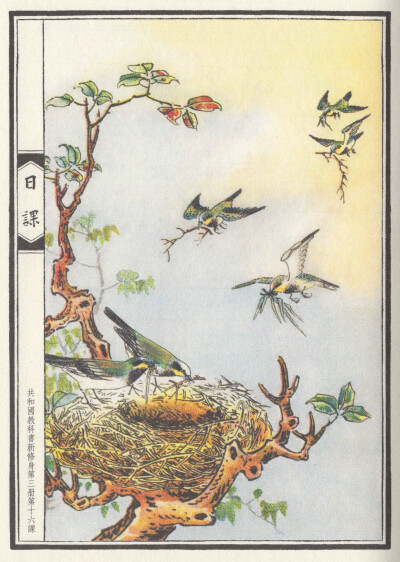 春（1-3月）自扫，仅供手账er日常自用。日课插图。禁止转出堆糖，禁商用。