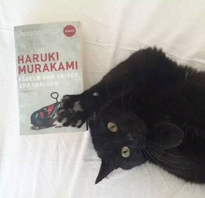 可爱瑶の背景图 文字 手写文字 杂图