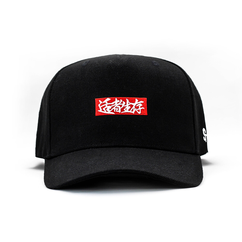 STRETAG 适者生存 字母刺绣 BOX LOGO 可调节弯檐棒球帽 snapback