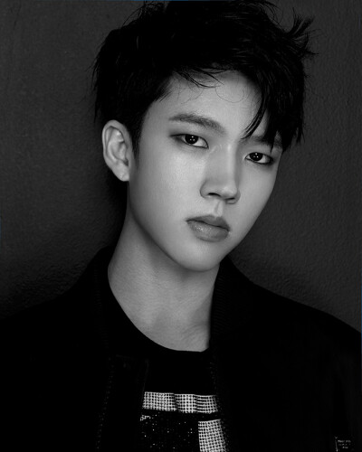 中文名: 南优铉（官方正名）、南优贤（亲自写的）
外文名: 남우현/Nam Woo Hyun
别名: 南宇贤 国籍: 韩国
民族: 朝鲜族 星座: 水瓶座
血型: B型 身高: 176cm
体重: 58kg 出生地: 首尔
出生日期: 1991.02.08
职业…