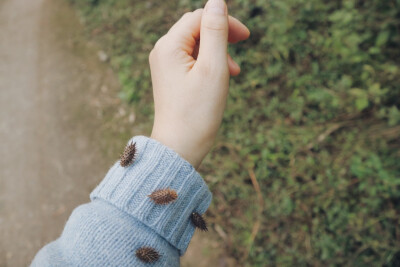 很多时候想毁掉所有，实则一无所有。