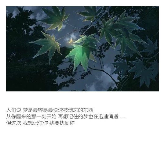 ”从全世界路过 我只记得你的名字 当流星划过天空时 请让我去守护你.“【宫水三叶】【立花泷】【你的名字】【新海诚】【书签】【文字】by清茶半打