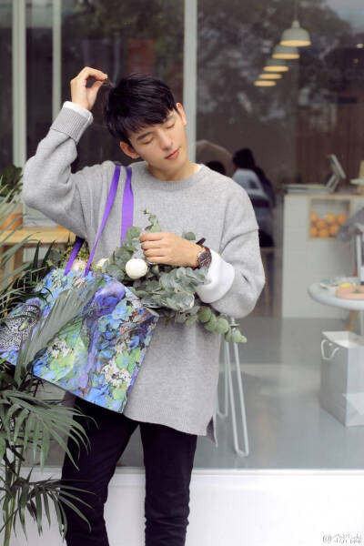 我喜欢你，认真且怂，从一而终