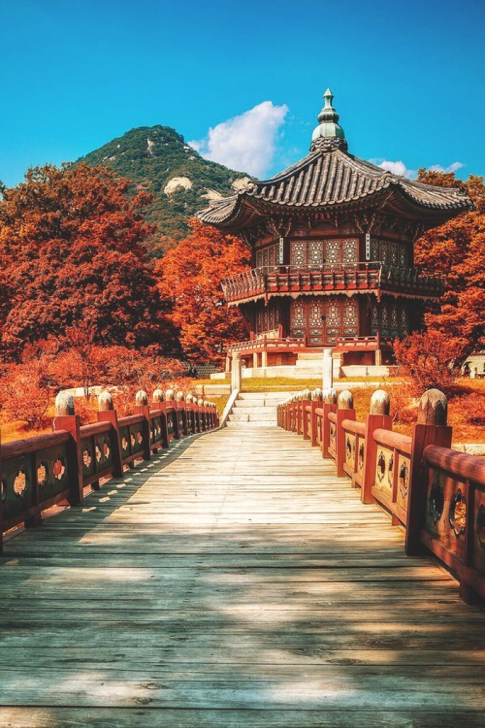 风景