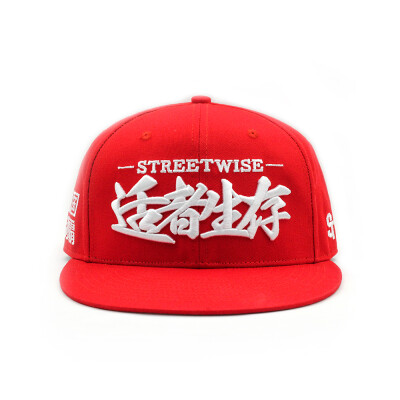 STRETAG 思锐泰格 适者生存 恭喜发财 限定 平檐棒球帽 snapback