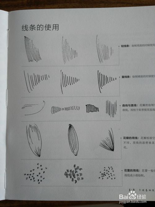  原稿 线稿