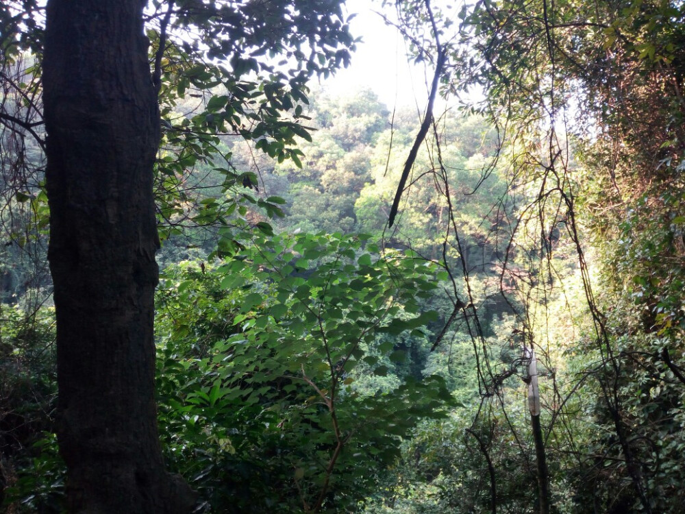 白雲山