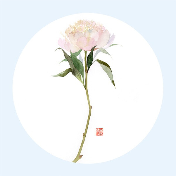 《花间集》
插画师鹿荷的清新写意水彩插画